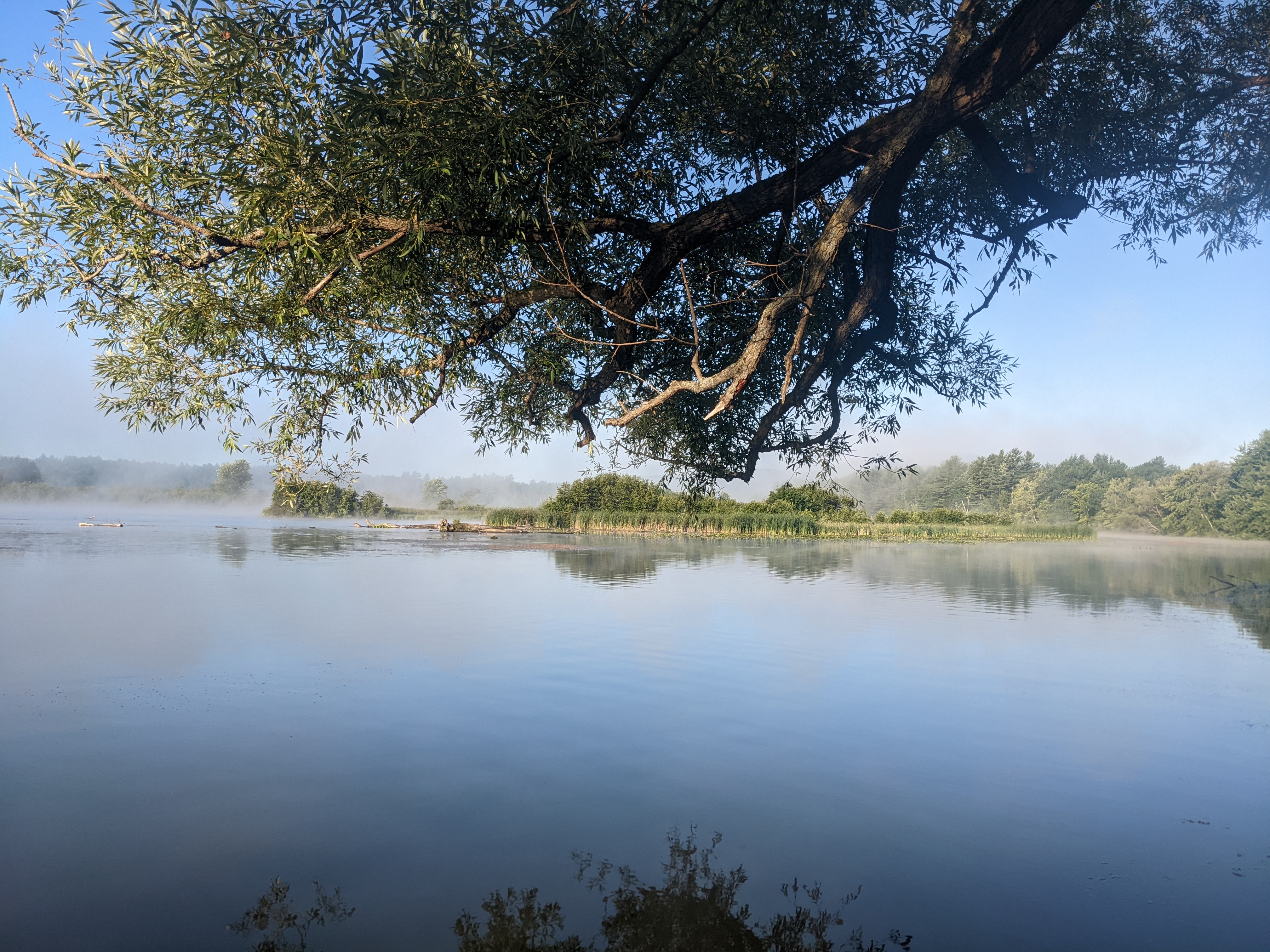 Hazy morning on the water.